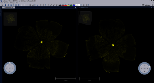 netScope Viewer Rotationswerkzeug