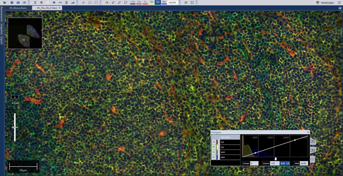 netScope Viewer Fluorescence Control