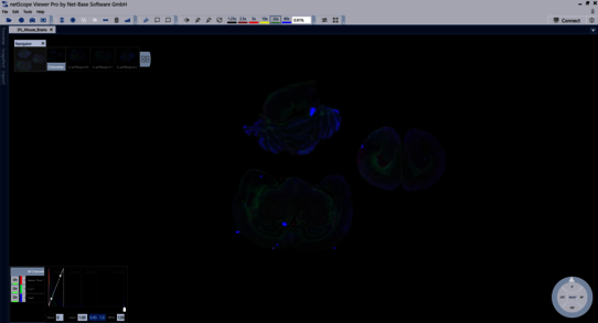 netScope Viewer Scene control