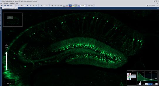 netScope Viewer fluorescence settings screenshot