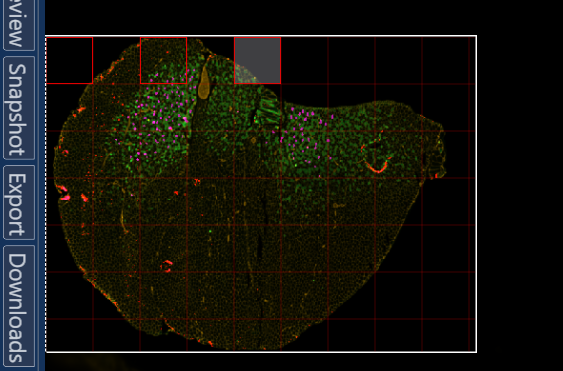 netScope Viewer quantify navigator netScope Viewer quantify navigator