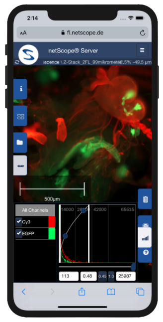 netScope Server WebViewer IOS